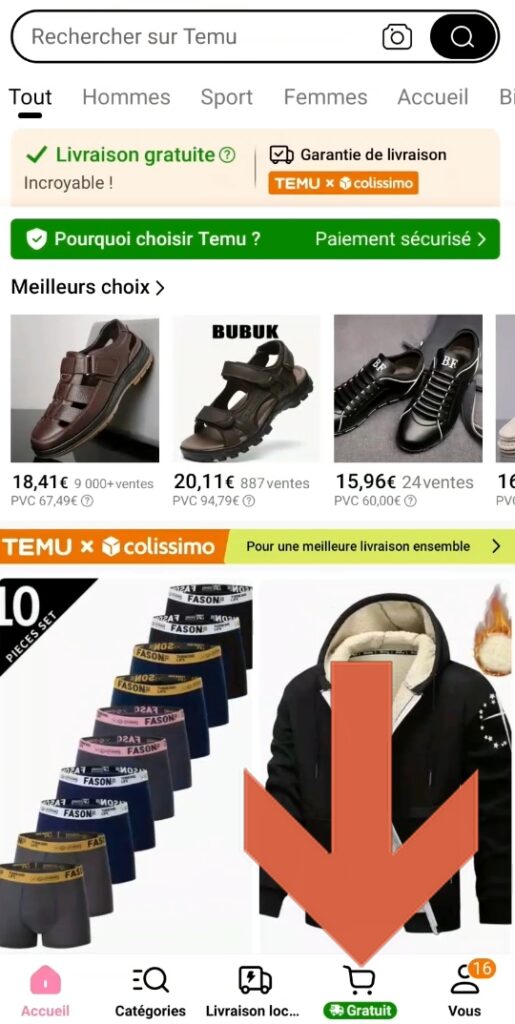 voir mon panier Temu sur smartphone - application mobile